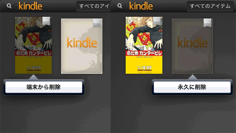 Kindle iPad