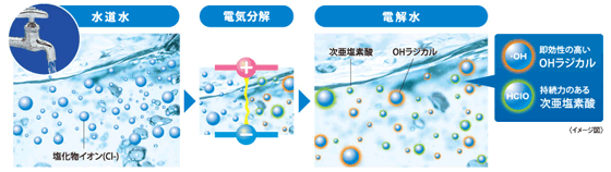 ノロウイルス 電解水