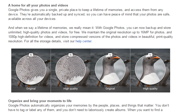 Google Photos 圧縮サンプル